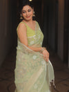 Banarasee Organza Mix Saree With Zari Jaal Design-Light Green