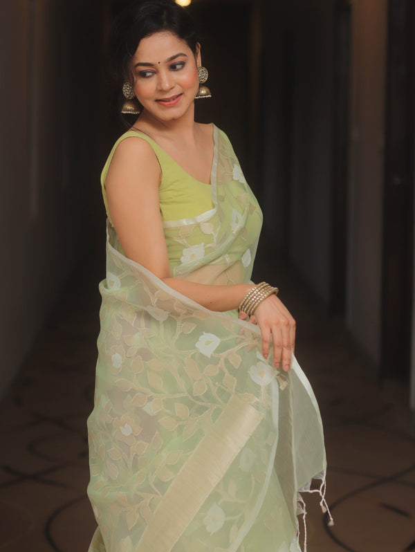 Banarasee Organza Mix Saree With Zari Jaal Design-Light Green