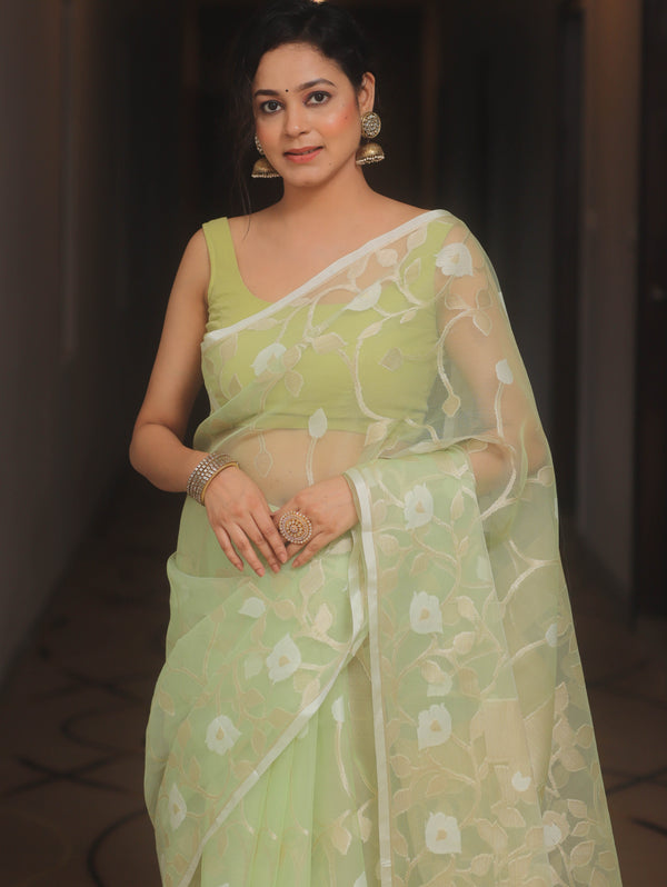 Banarasee Organza Mix Saree With Zari Jaal Design-Light Green