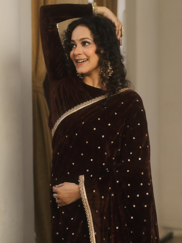 Banarasee Mirror Embroidered Velvet & Tissue Saree-Brown