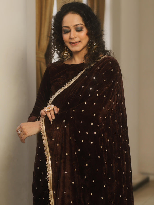 Banarasee Mirror Embroidered Velvet & Tissue Saree-Brown