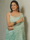 Banarasee Organza Mix Applique Work Saree-Pastel Green