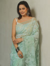 Banarasee Organza Mix Applique Work Saree-Pastel Green