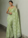 Banarasee Organza Mix Applique Work Saree-Light Green