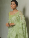 Banarasee Organza Mix Applique Work Saree-Light Green