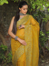 Banarasee Handwoven Organza Silk Floral Embroidered Saree-Olive Green